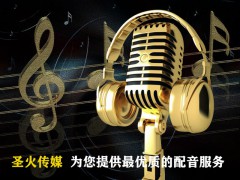 广告配音图2