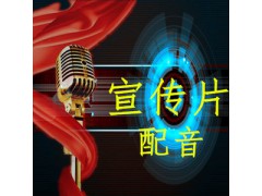 广告配音图3