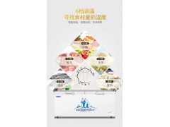 冰熊1088L冷柜家用商用大容量冷冻柜图2