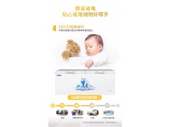 冰熊1088L冷柜家用商用大容量冷冻柜图3