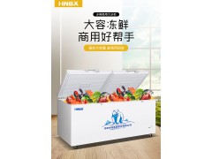 冰熊755L小冷柜家用商用大容量冷冻柜迷你冷柜小型保鲜冷藏两用图2