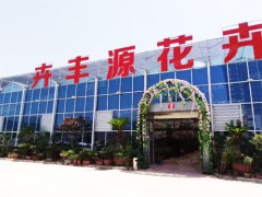 卉丰源花鸟成图2