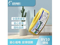 远东电缆（FAR EAST CABLE） 电工电料简装BV10平方 国标家装进户铜芯电线单芯硬线 黄色零线 100米图1