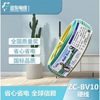 远东电缆 电工电料简装ZC-BV10平方家装进户铜芯阻燃电线单芯硬线 双色地线 50米