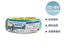 远东电缆 电工电料简装ZC-BV10平方家装进户铜芯阻燃电线单芯硬线 双色地线 50米图5