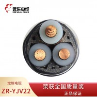 远东电缆 1-35kV低压高压阻燃铜芯电力电缆 ZR-YJV ZR-YJV22 系列 ZR-YJV