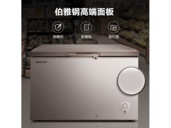 容声冰箱 306升 冷藏冷冻转换冰柜 商用冷柜 一级能效 厨房冰箱 BD/BC-306MSA图2