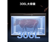 容声 306升 冷藏冷冻转换冰柜 商用冷柜 一级能效 厨房冰箱 BD/BC-306MSA图3