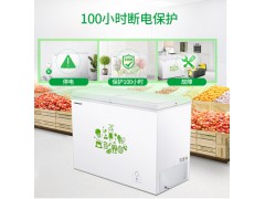 容声273升 卧式冰箱 蝶形门 侧掀门 冷藏冷冻双温冰柜 家用商用厨房二合一 BCD-273KB图5