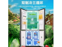 容声冰箱【全净系列】451升十字对开门冰箱四门一级变频风冷母婴纤薄干湿分储BCD-451WD11FP全空间净化图2