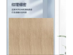 亚细亚瓷砖 美国橡木T122201R  200*1200图3