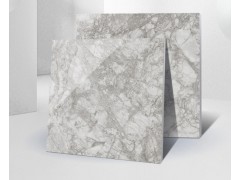 亚细亚瓷砖 银顶纹AC900056 900*900图4