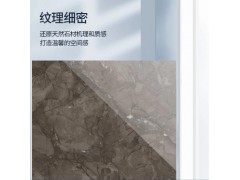 亚细亚瓷砖 多瑙河脉 EB15750582AK 750*1500图2