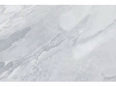 特尔雅陶瓷TA12803  800x1200图4