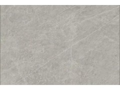 特尔雅陶瓷TA12807  800X1200图2