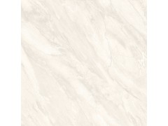 特尔雅地砖TA8012 800X800图3