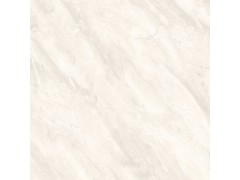 特尔雅地砖TA8012 800X800图3