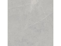 特尔雅瓷砖RP8606 800X800图3