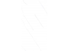 特尔雅地砖TA4820 400X800图2
