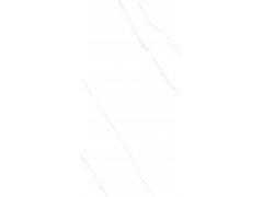 特尔雅地砖TA4820 400X800图2