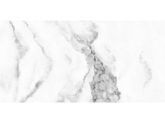 特尔雅地砖98901 900x1800图2