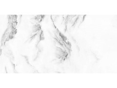特尔雅地砖98901 900x1800图3