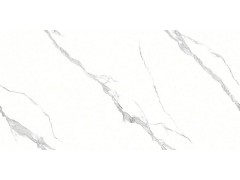 特尔雅地砖180905 900x1800图1