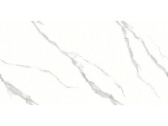 特尔雅地砖180905 900x1800图3
