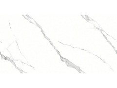 特尔雅地砖180905 900x1800图4