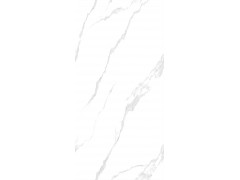 特尔雅地砖180907  900x1800图1