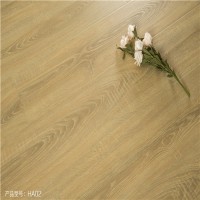 高圆圆木地板 强化复合地板HA02