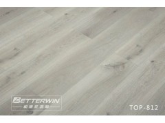 高圆圆木地板TOP-812图1