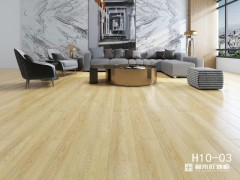 高圆圆木地板 强化复合地板 H10-03图2