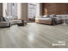 高圆圆木地板 强化复合地板 HA22图2