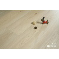 高圆圆木地板 强化复合地板 HA21