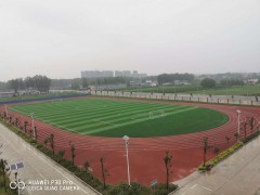 大型高尔夫球场人造草坪材料批发施工图2