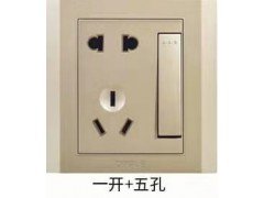 欧普暗装 W581095A-一开单+五孔-香槟金图1