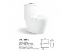 闻洲WC-H06马桶图2
