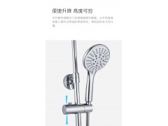 新升级空气增压喷枪淋浴器36431图3