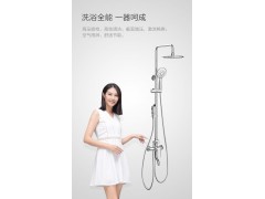 新升级空气增压喷枪淋浴器36431图2