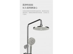 一键除垢手握隐形喷枪淋浴器36558 【两色可选】图3