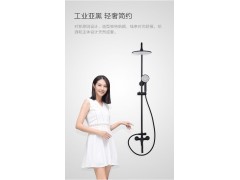 高性价比雅黑硅胶易洁花洒淋浴器36509图5