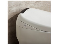 i3智能数显一键全自动智能马桶 Z1D6390图3