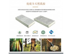 德国路福智能床J006B图2