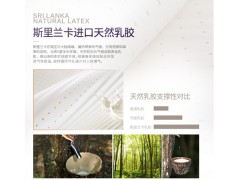 德国路福电动床垫 钛蓝材质加厚欧洲进口天然乳胶 电动智能升降多功能床垫奢华推荐S323LINK5 S323LINK5 1800*2000图5
