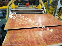 广西建筑模板价格图2