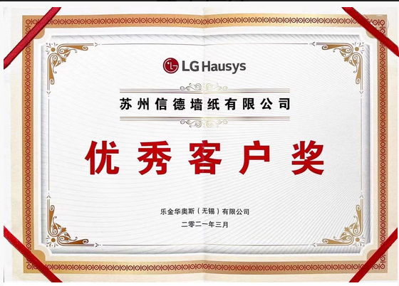 LG Hansys优秀客户奖证书
