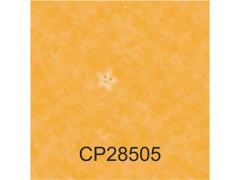 静宝PLUS(CALMPASSO PLUS)图5