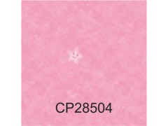 静宝PLUS(CALMPASSO PLUS)图6