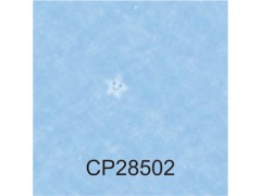 静宝PLUS(CALMPASSO PLUS)图8